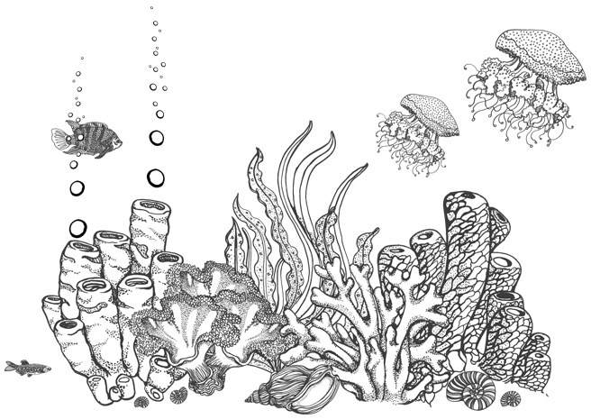 Шепот глубин - i_039.jpg