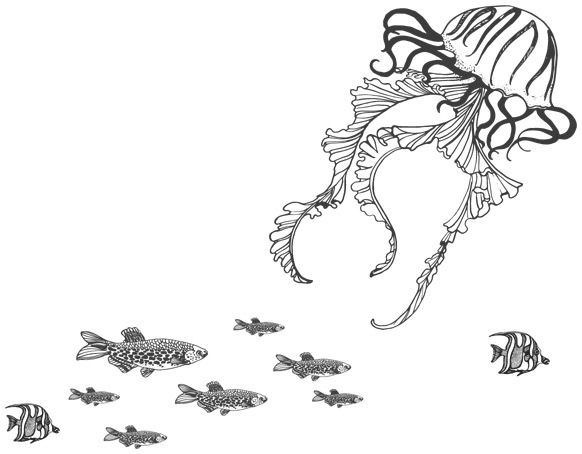 Шепот глубин - i_041.jpg