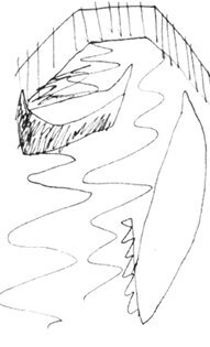 Запретная тетрадь - i_009.jpg