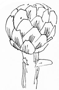 Запретная тетрадь - i_011.jpg