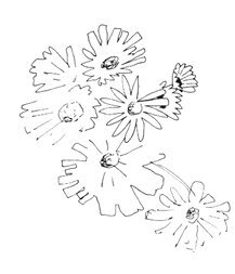 Запретная тетрадь - i_018.jpg