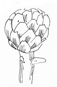 Запретная тетрадь - i_045.jpg