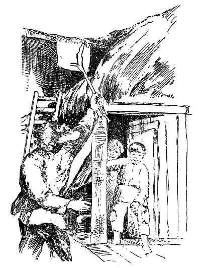 Собрание сочинений Яна Ларри. Том третий - i_019.png