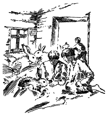 Собрание сочинений Яна Ларри. Том третий - i_026.png