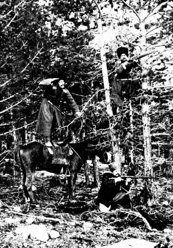 История Первой мировой войны - i_003.jpg