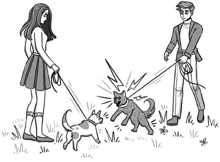 Не тяни! Как научить собаку гулять на провисшем поводке - i_002.jpg