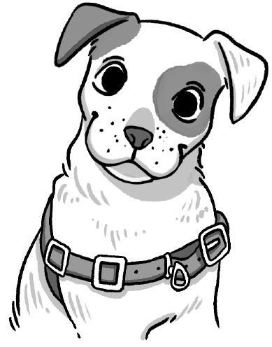 Не тяни! Как научить собаку гулять на провисшем поводке - i_004.jpg