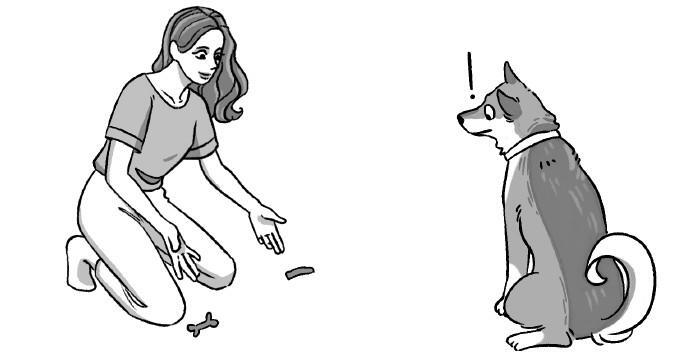 Не тяни! Как научить собаку гулять на провисшем поводке - i_011.jpg