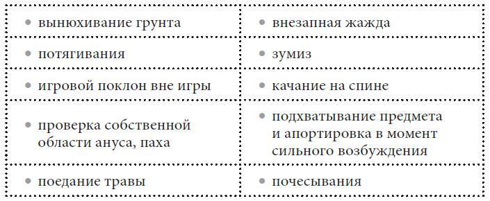 Не тяни! Как научить собаку гулять на провисшем поводке - i_014.jpg