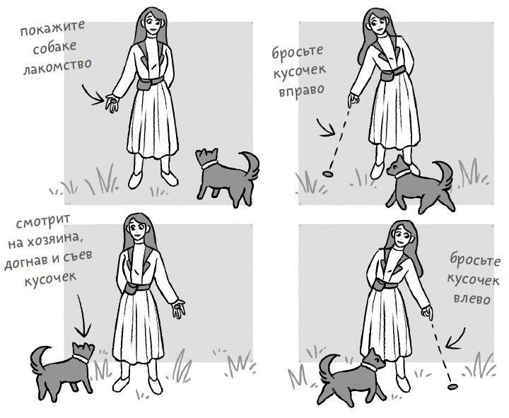 Не тяни! Как научить собаку гулять на провисшем поводке - i_015.jpg