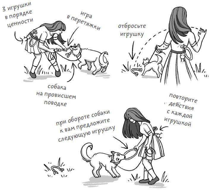 Не тяни! Как научить собаку гулять на провисшем поводке - i_020.jpg