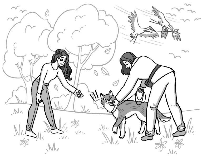 Не тяни! Как научить собаку гулять на провисшем поводке - i_021.jpg