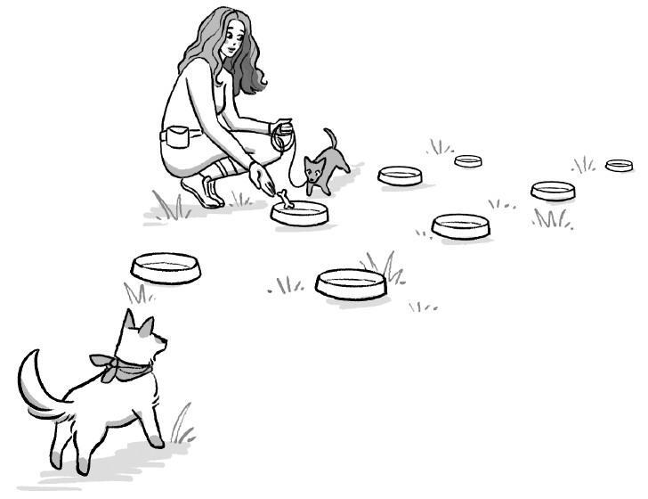 Не тяни! Как научить собаку гулять на провисшем поводке - i_024.jpg