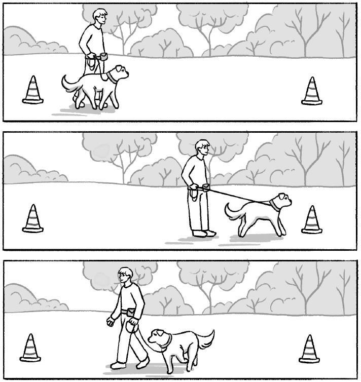 Не тяни! Как научить собаку гулять на провисшем поводке - i_030.jpg