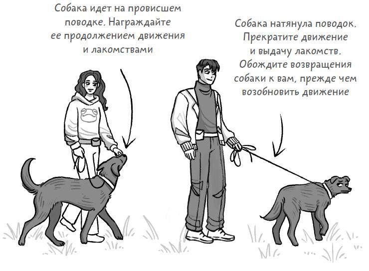 Не тяни! Как научить собаку гулять на провисшем поводке - i_031.jpg