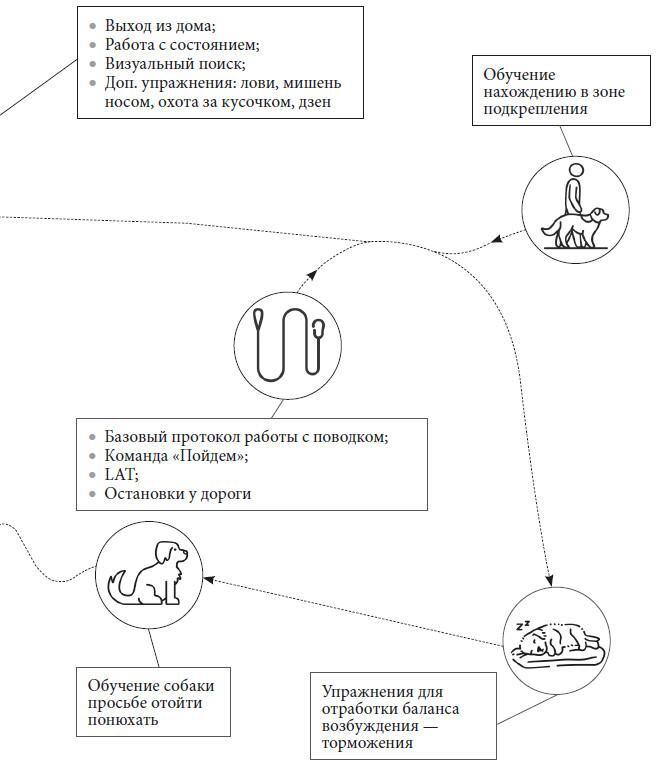 Не тяни! Как научить собаку гулять на провисшем поводке - i_035.jpg