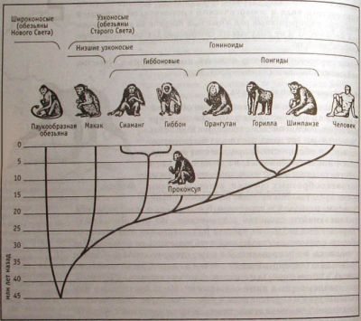 Непослушное дитя биосферы. Беседа первая и вторая - doc2fb_image_02000011.jpg