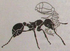 Непослушное дитя биосферы. Беседа первая и вторая - doc2fb_image_02000018.jpg