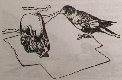 Непослушное дитя биосферы. Беседа первая и вторая - doc2fb_image_02000022.jpg