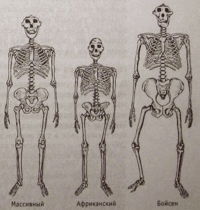 Непослушное дитя биосферы. Беседа первая и вторая - doc2fb_image_02000016.jpg