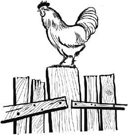 Дом, которого нет - i_003.png