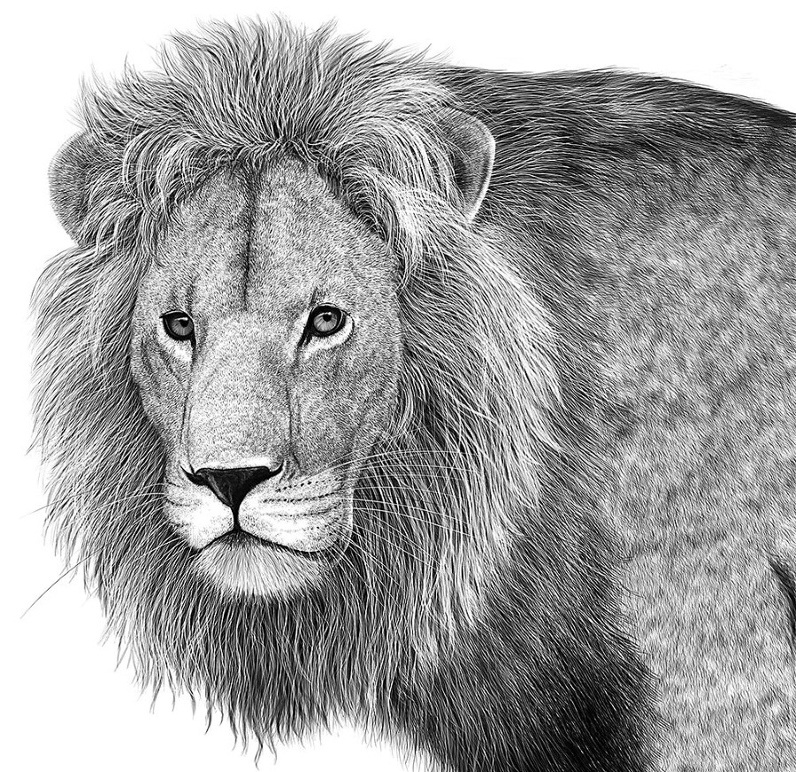 12 животных в мировом искусстве - i_006.jpg