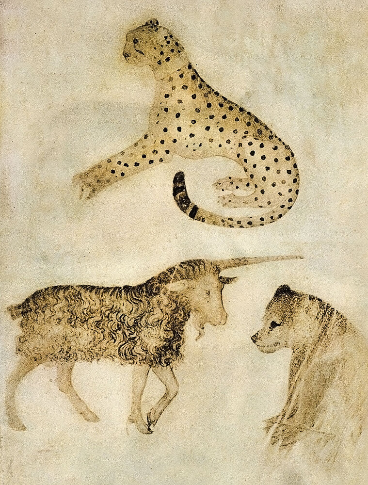 12 животных в мировом искусстве - i_007.jpg
