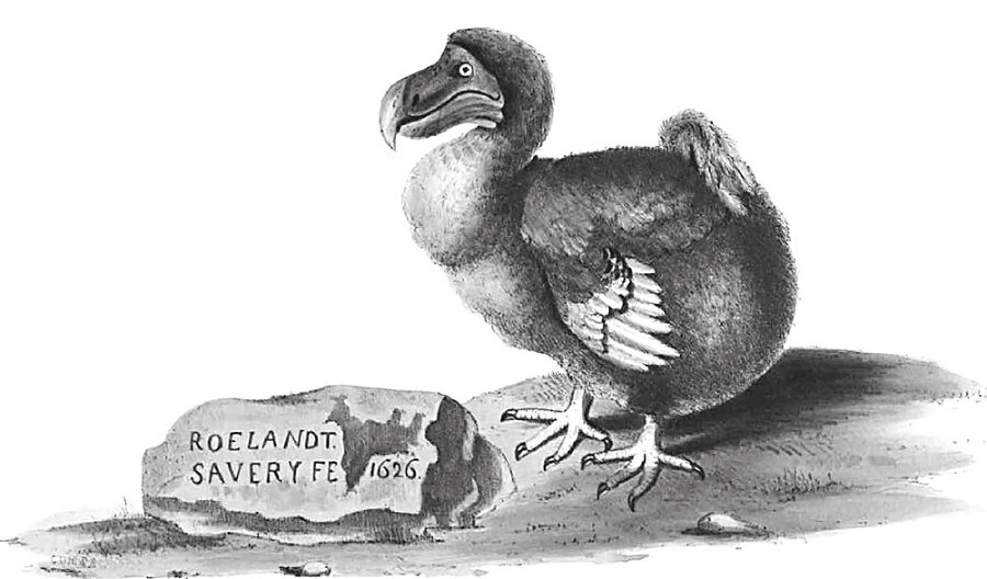 12 животных в мировом искусстве - i_023.jpg