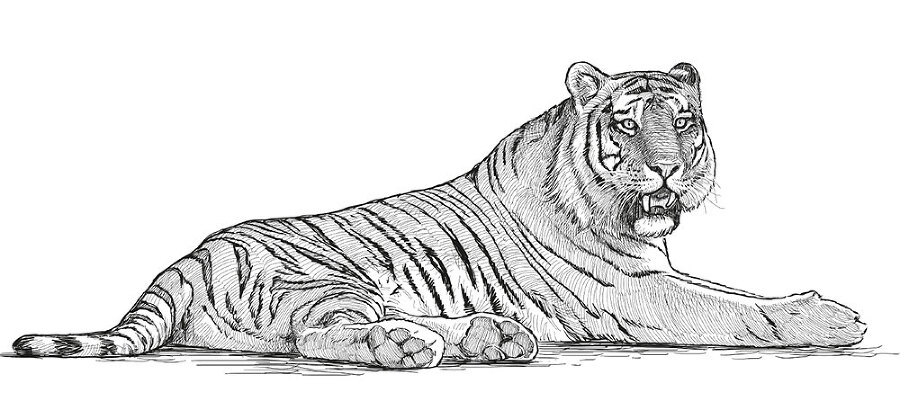 12 животных в мировом искусстве - i_029.jpg