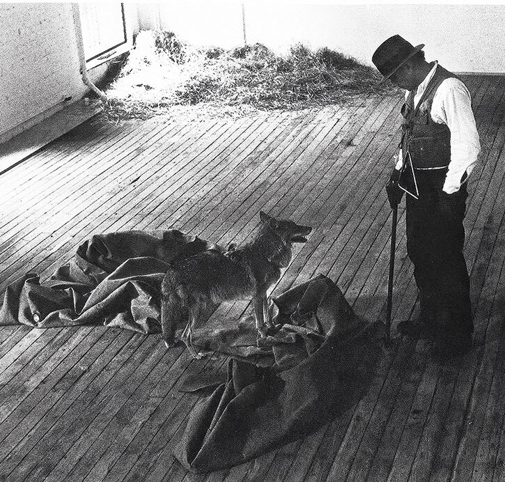 12 животных в мировом искусстве - i_035.jpg