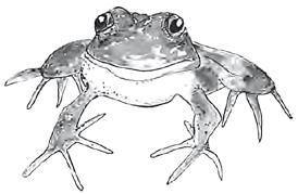 Разрушители. Грибки и грядущая пандемия - i_006.jpg