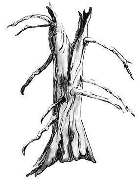 Разрушители. Грибки и грядущая пандемия - i_008.jpg