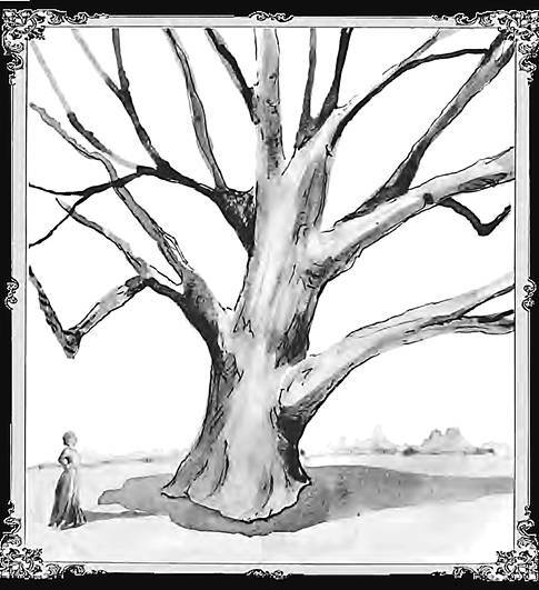 Разрушители. Грибки и грядущая пандемия - i_009.jpg