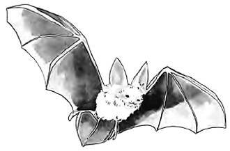 Разрушители. Грибки и грядущая пандемия - i_013.jpg