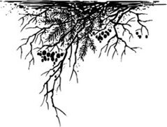 Тихие гости - i_005.jpg