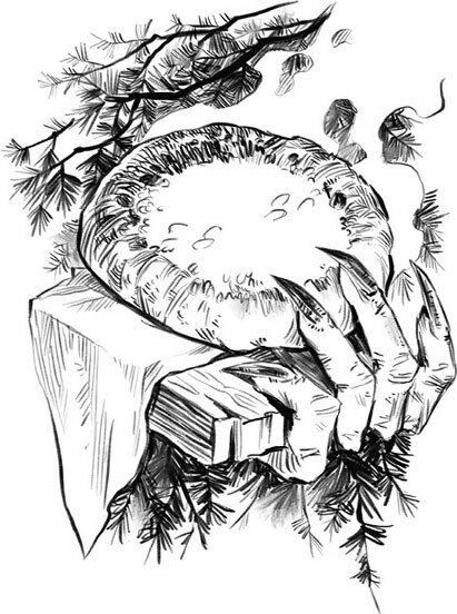 Приходи вчера. Жуткие былички - i_006.jpg