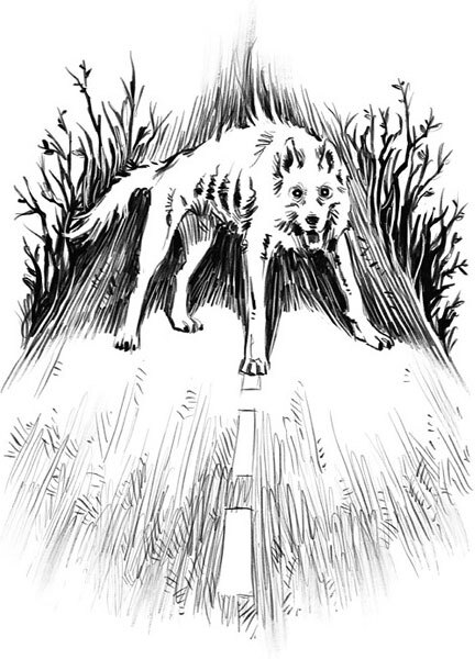 Приходи вчера. Жуткие былички - i_014.jpg