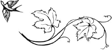 Виноград в любом уголке России. Проверенная и эффективная методика выращивания капризной ягоды - i_001.jpg