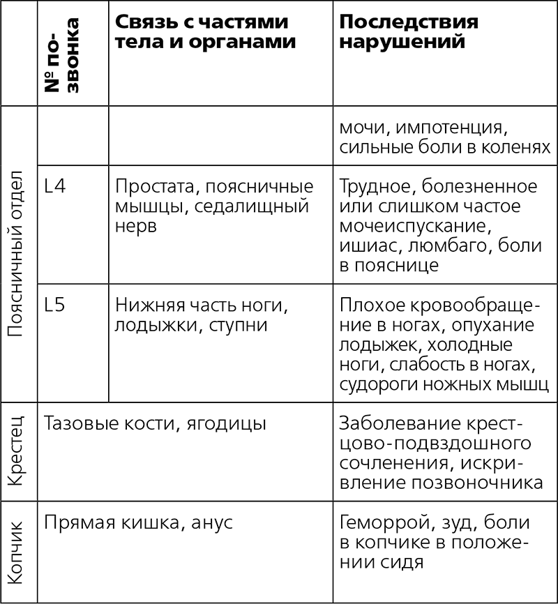 Остеохондроз, сколиоз, грыжа: легендарная методика при болях в спине - i_005.png