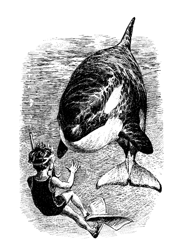 Этот обыкновенный загадочный дельфин - i_002.png