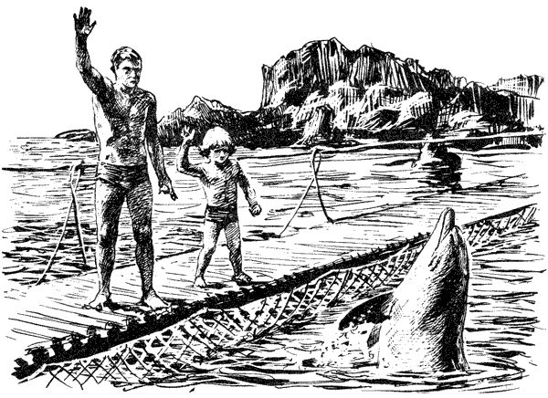 Этот обыкновенный загадочный дельфин - i_004.png