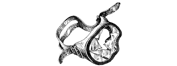 Этот обыкновенный загадочный дельфин - i_013.png