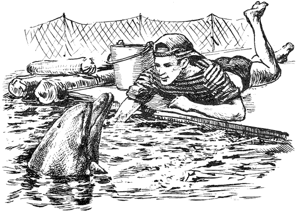 Этот обыкновенный загадочный дельфин - i_014.png