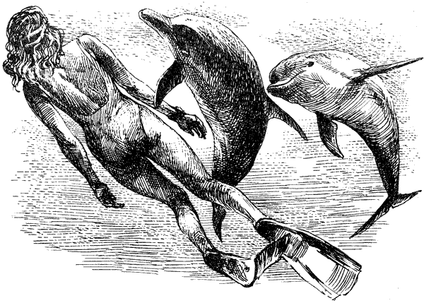 Этот обыкновенный загадочный дельфин - i_020.png