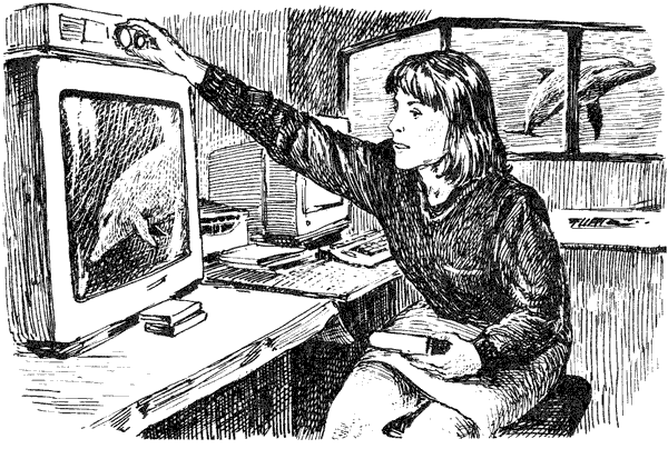 Этот обыкновенный загадочный дельфин - i_024.png