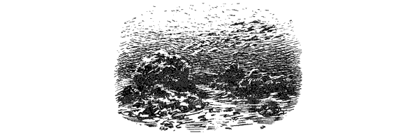 Этот обыкновенный загадочный дельфин - i_029.png