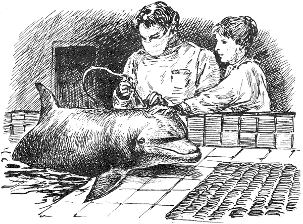 Этот обыкновенный загадочный дельфин - i_030.png