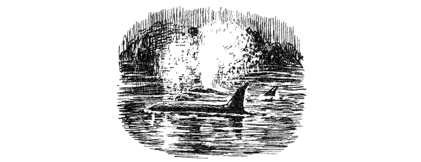 Этот обыкновенный загадочный дельфин - i_031.png