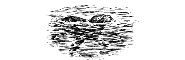 Этот обыкновенный загадочный дельфин - i_035.png