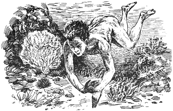 Этот обыкновенный загадочный дельфин - i_036.png